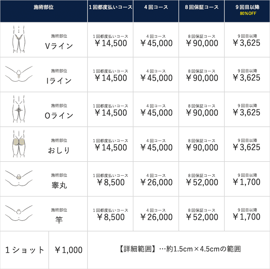 脱毛コースと料金表 福井メンズ脱毛サロン メンズbb